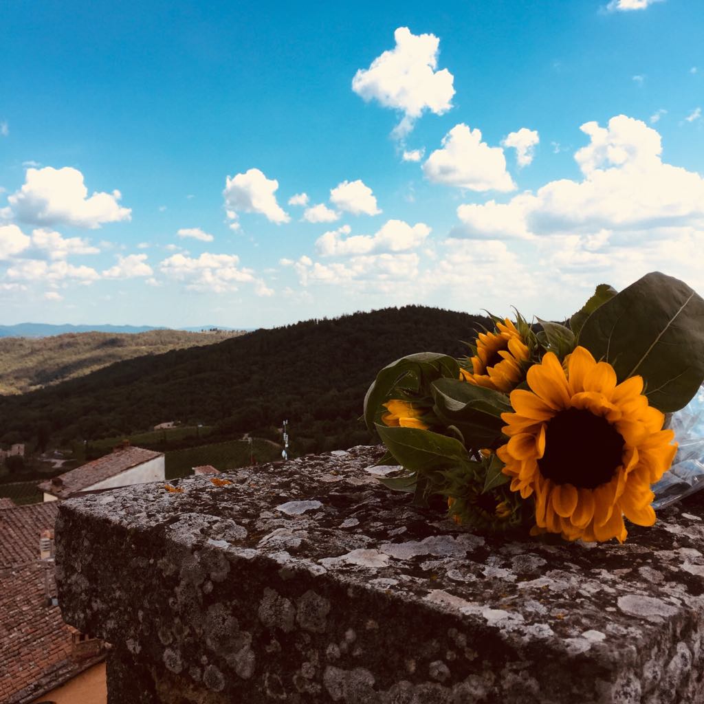 A Day Trip To Castellina in Chianti