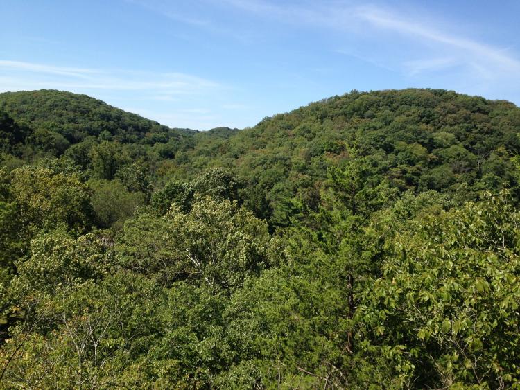 Magic in Nature (Guest Post by Jessica Marie Baumgartner)