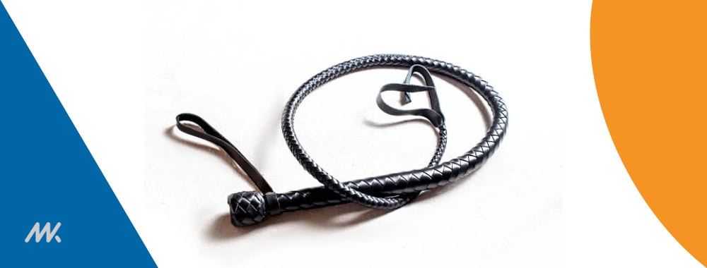 leather whip